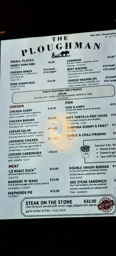 Matej Z_The Ploughman_Kinsealy-Drinan_recensione