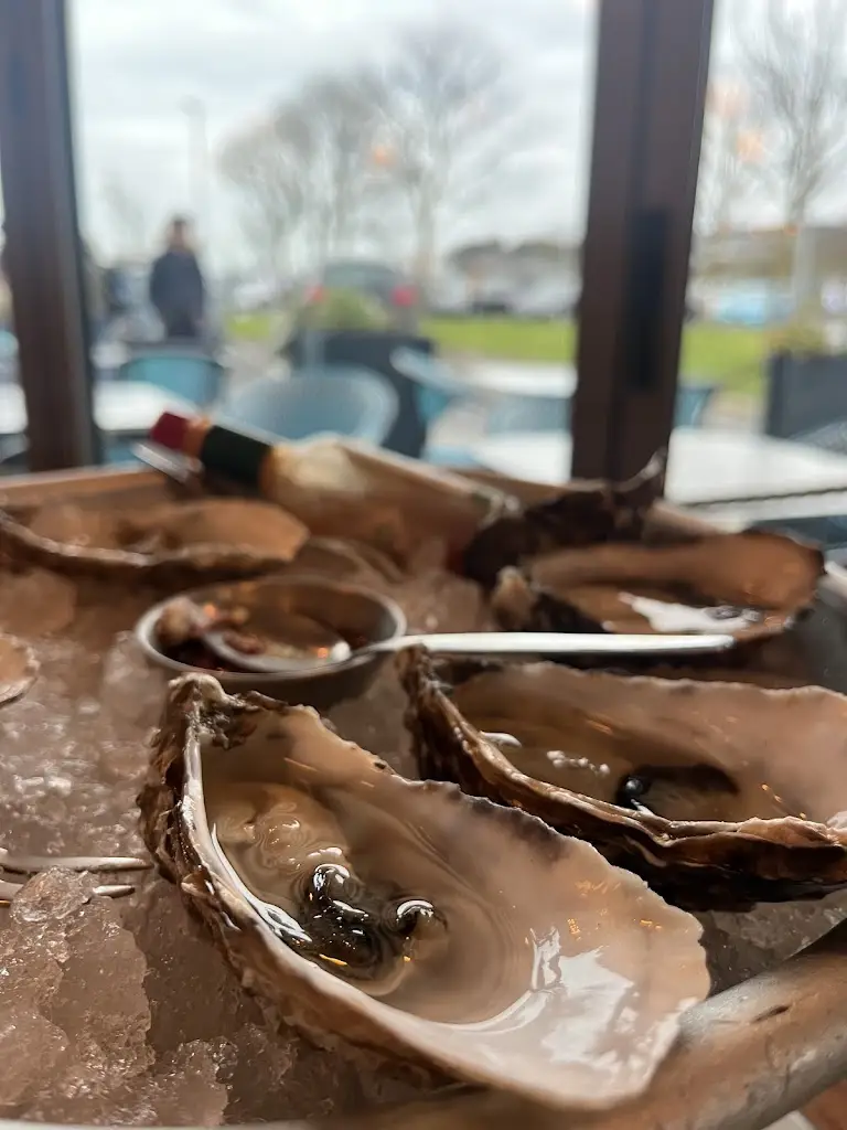 Kateřina Marxtová_Beshoffs The Market & Beshoffs Sea Grill_Howth_review