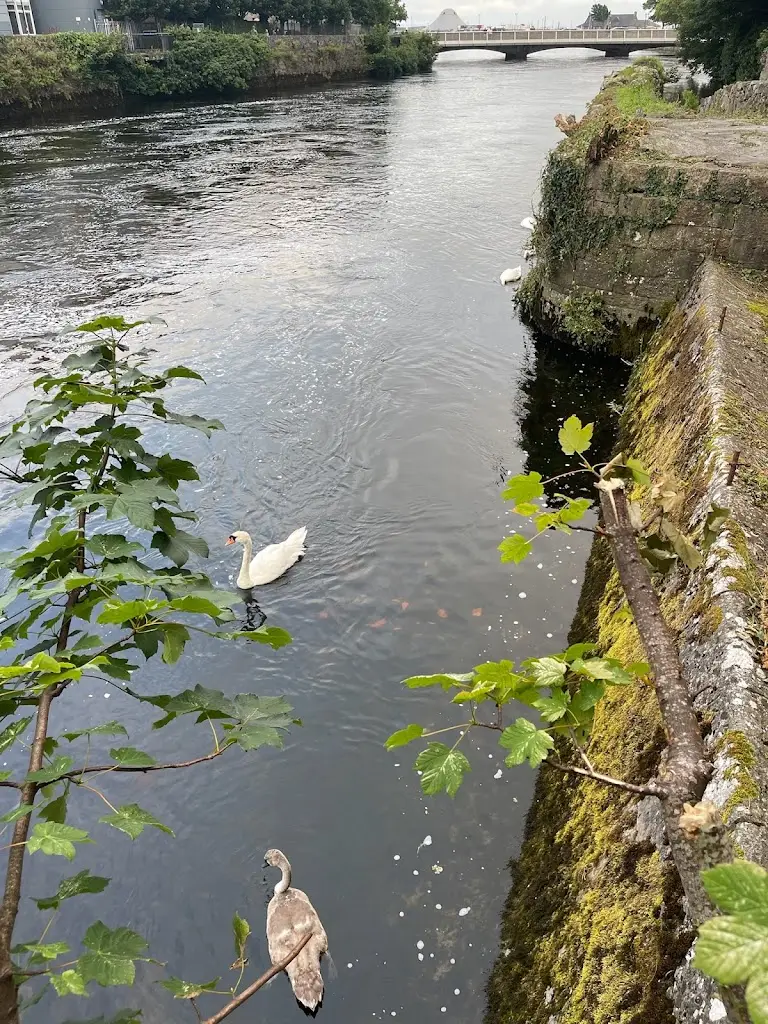 Justin Muller_IL Vicolo_County Galway_review