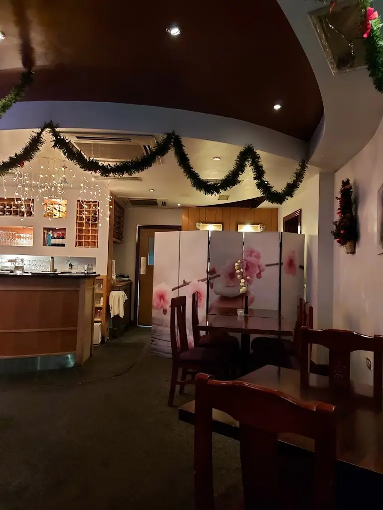 Philomena Duke_New Dragon Boat_Kilcock_review