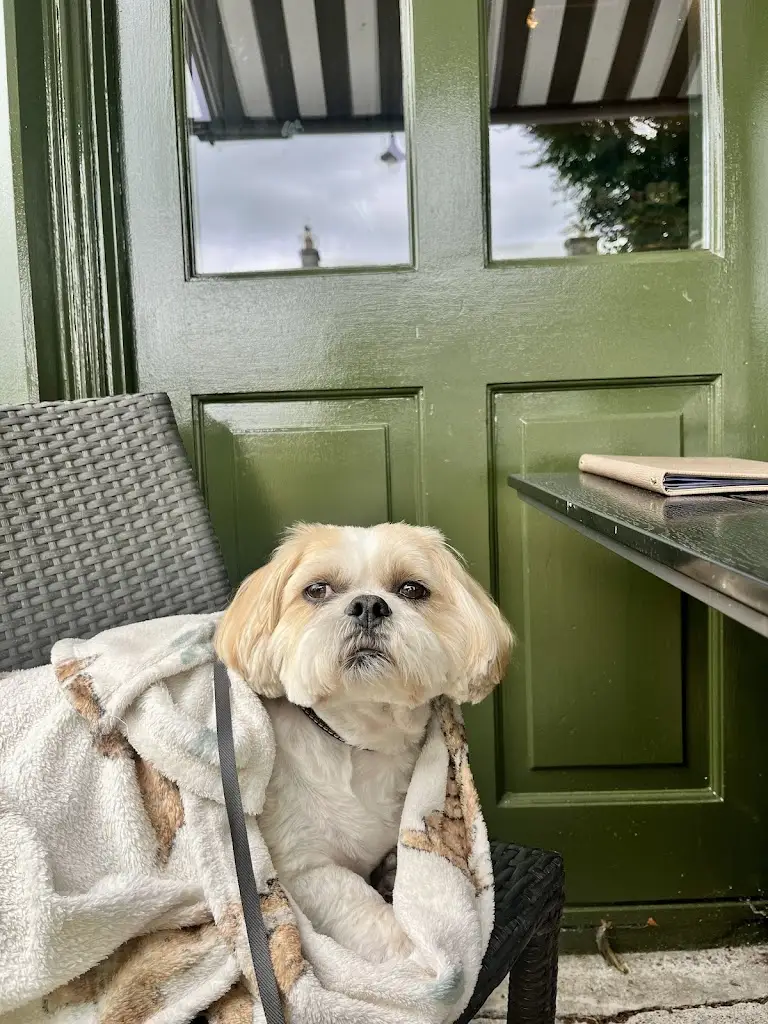 Louise Warren_Avenue Cafe, Restaurant & Bar_Kilcock_review