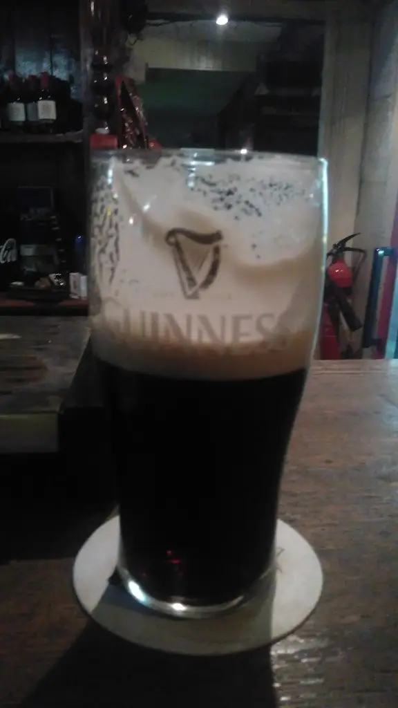 Menu_The Druid_Mountmellick_imagen_1