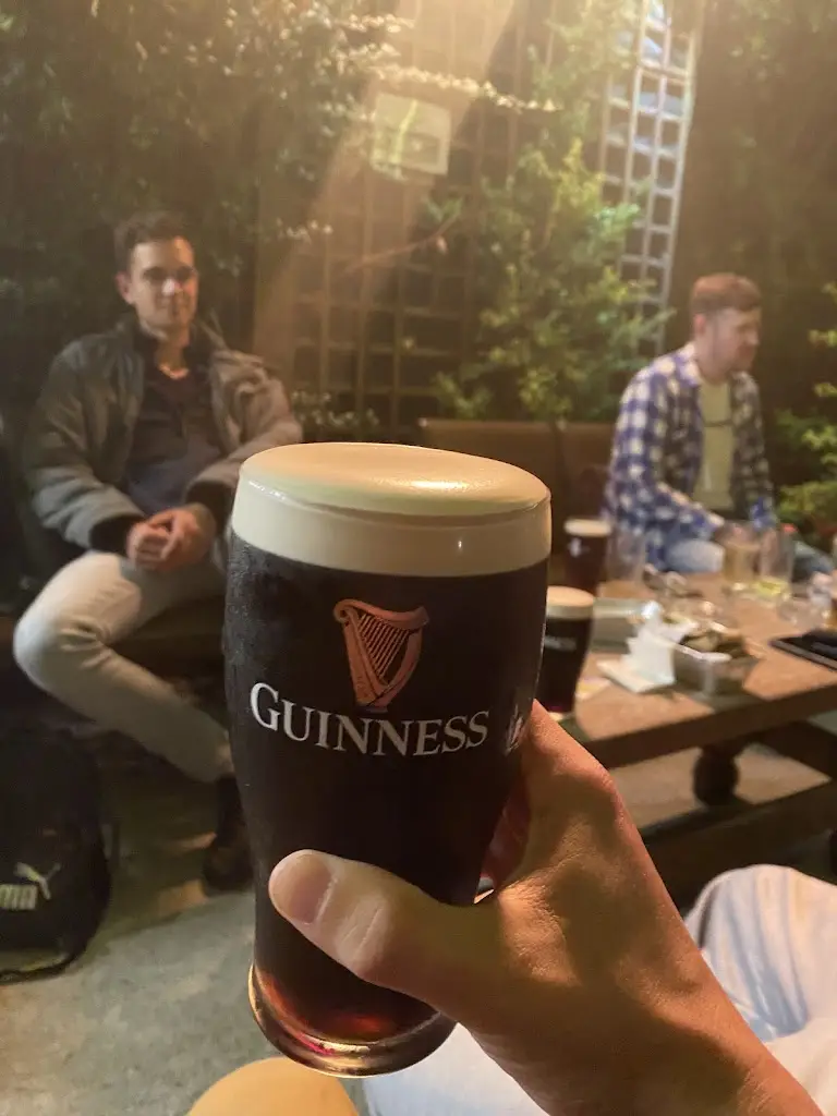 Menu_The Druid_Mountmellick_imagen_2