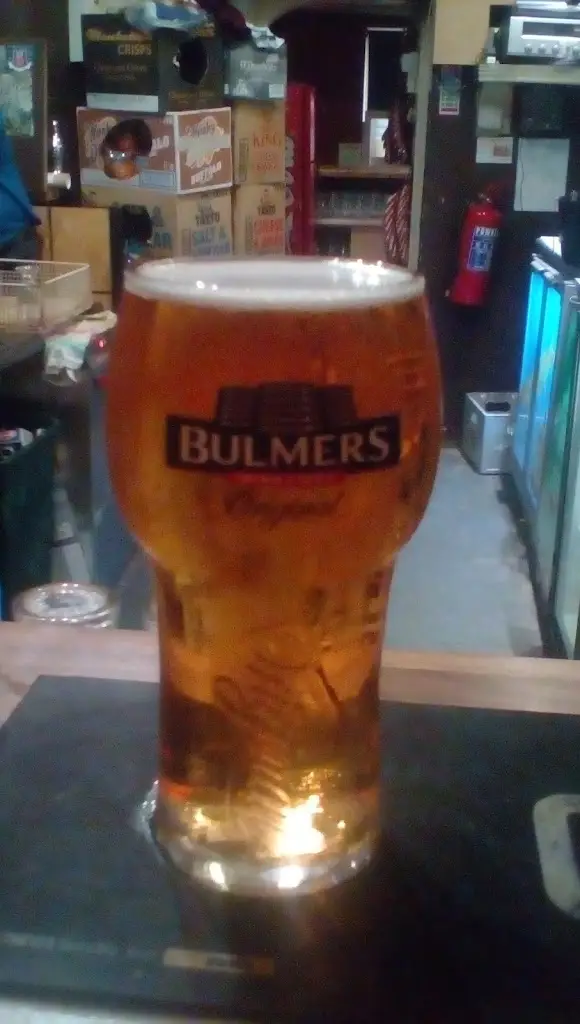 Menu_The Druid_Mountmellick_imagen_3