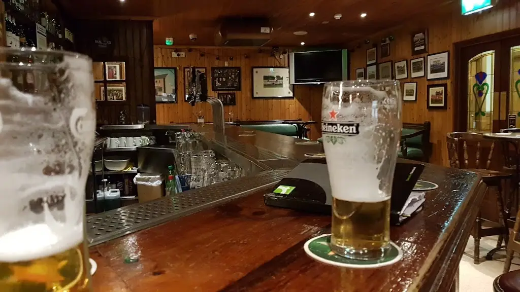 Menü_Mooneys Pub_Monasterevin_Bild_3