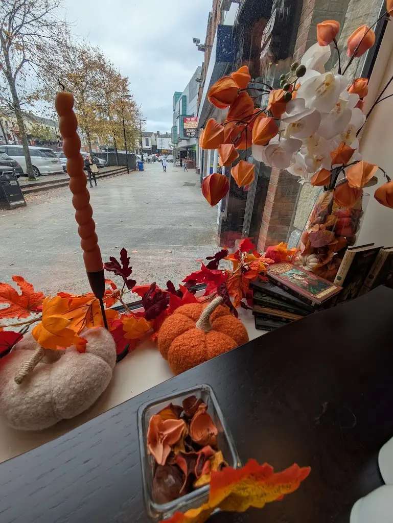 Jeffrey King_ALORA Brasserie_Navan_review