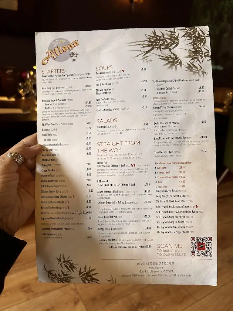 Menu_Alisan Oriental Restaurant_Claremorris_image_2