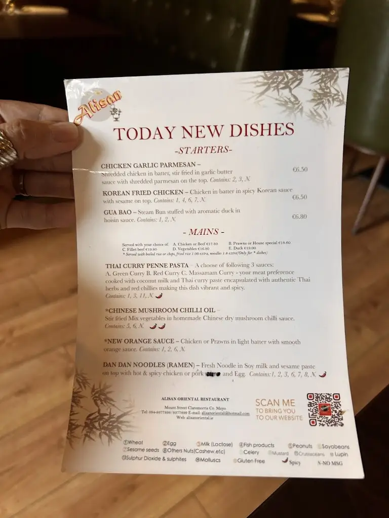 Menu_Alisan Oriental Restaurant_Claremorris_image_4