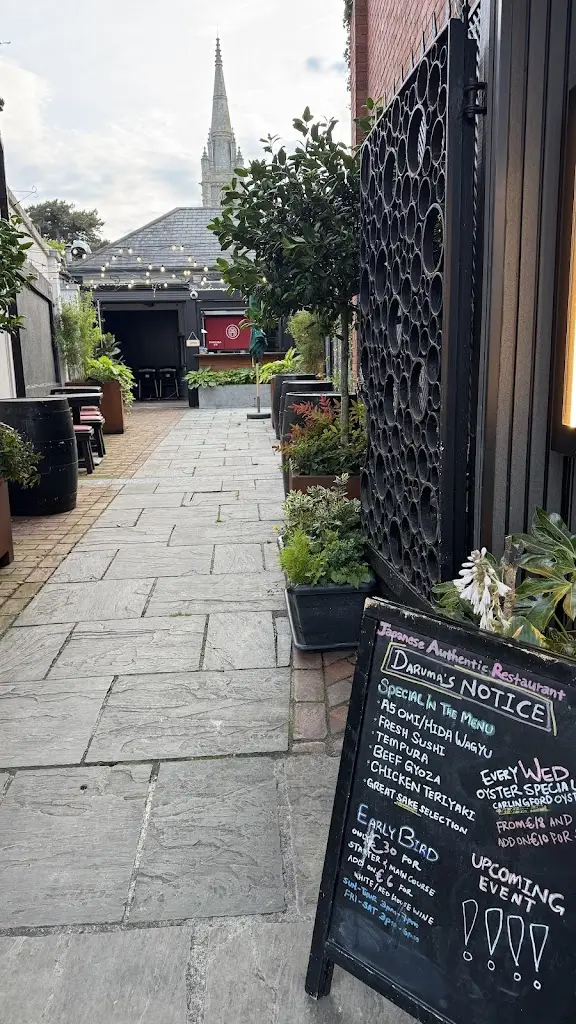 Nataliya Karpusheva_DARUMA_Malahide_review