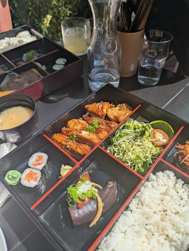 Jason Coyne_DARUMA_Malahide_review