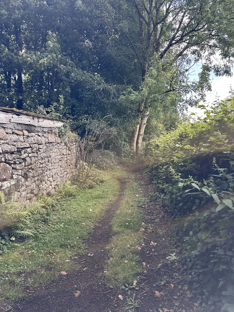 Naomi Williams_Roundwood House_Mountrath_reseña