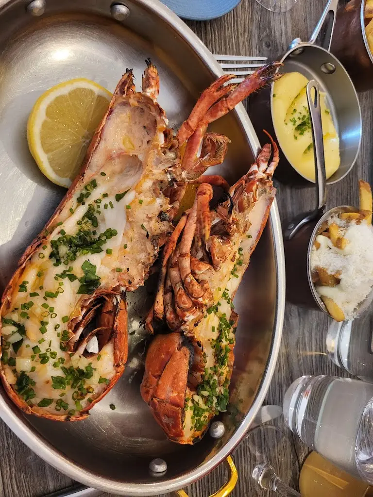Francis_Lobstar_Monkstown_review