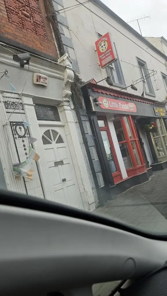 Angelica Rosaria_Little Panda Asian Cuisine_Oldcastle_recensione