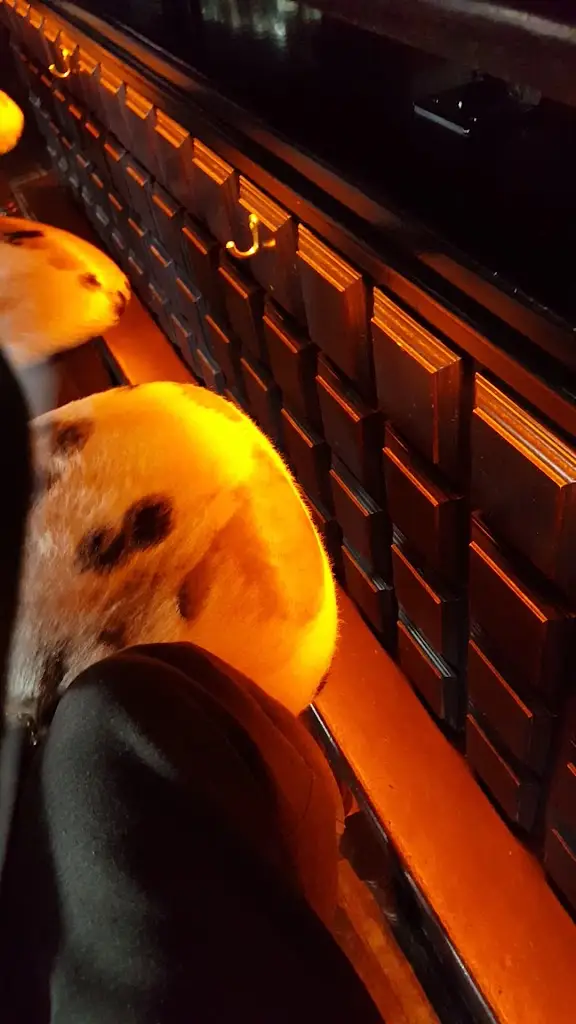 The Manhattan-Beer & Food Co_Raheny_slider_image_2