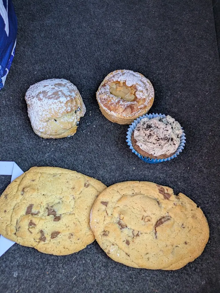 Jeffrey King_Picnic Ratoath - PICNIC_Ratoath_reseña