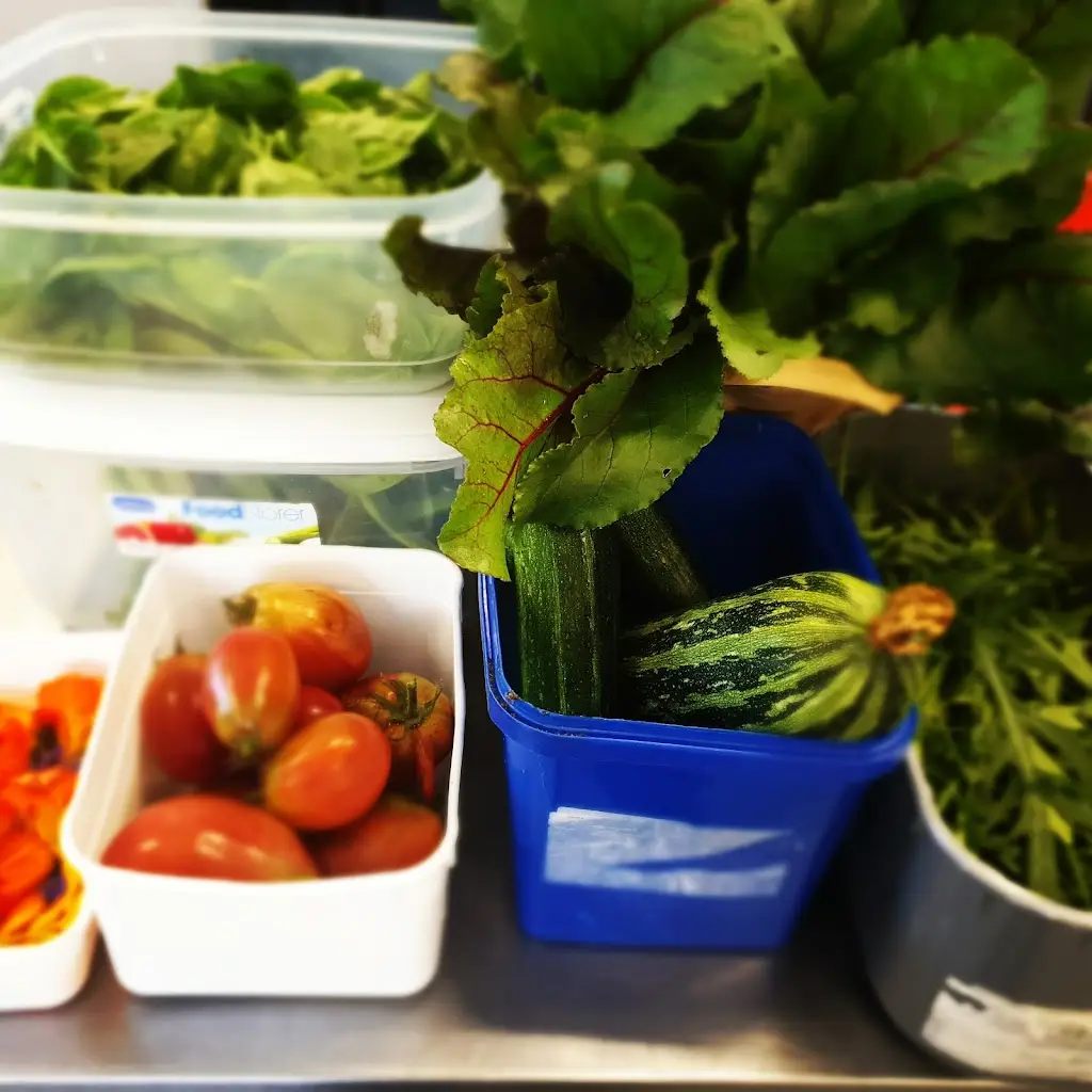 Menu_The Willow Tree @ Rathdowney Golf Club_Rathdowney_image_6