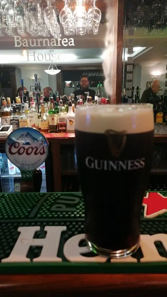 Reyn Varkevisser_Baurnafea House_Rathcoole_Bewertung