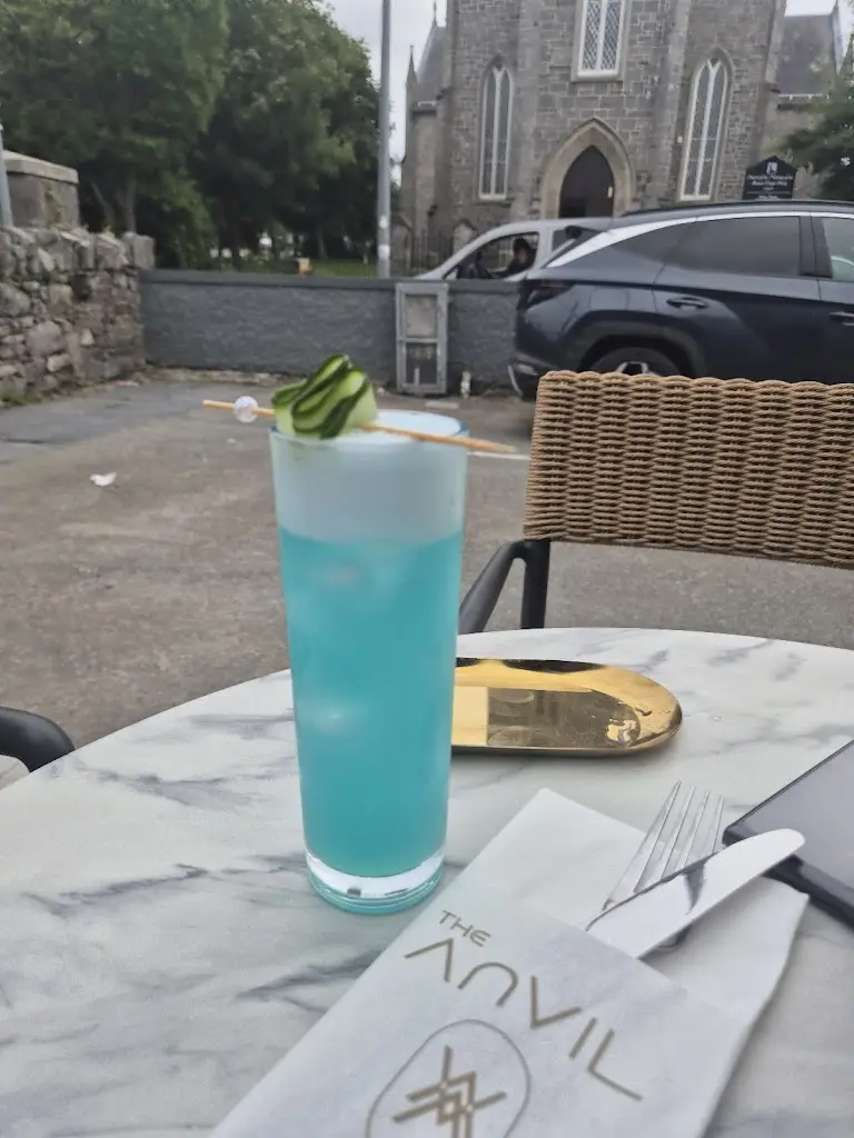 Marius D_The Anvil Restaurant_Rathcoole_review
