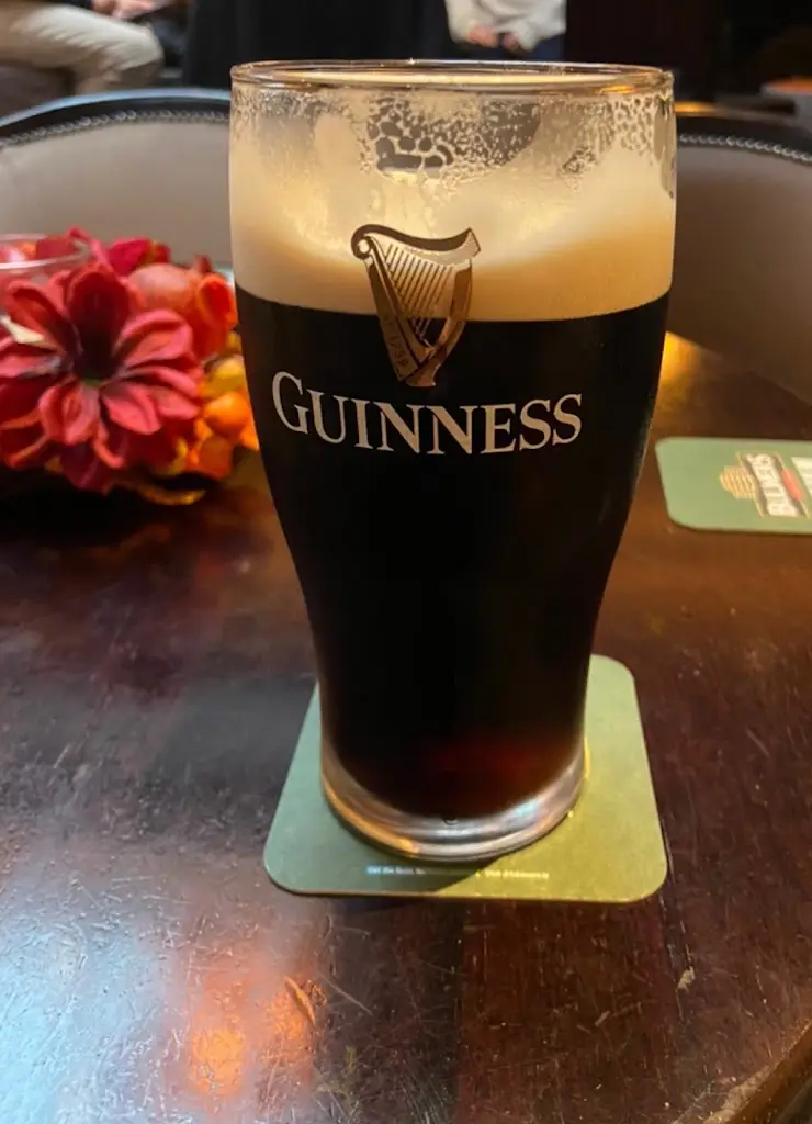 Luke_J. P. Healy Pub_Sallins_review