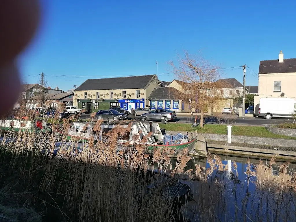 Kevin Connolly_J. P. Healy Pub_Sallins_review