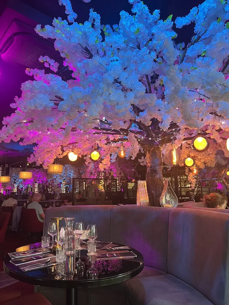 Robert Binkowski_Red Torch Ginger Sandyford_Sandyford_review