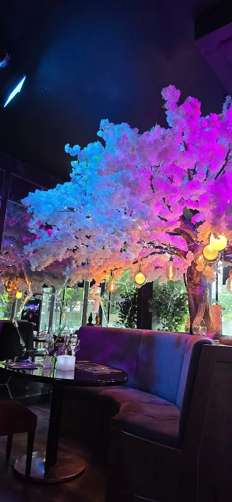 Claudia Ximena Mazo Vargas_Red Torch Ginger Sandyford_Sandyford_review