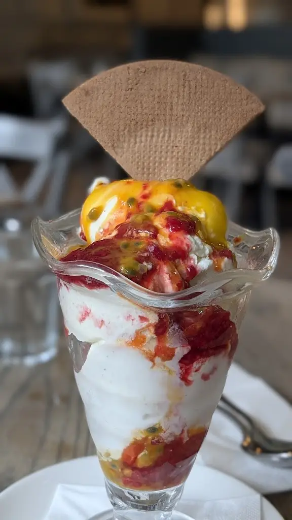 Sanchita Wagh_Elephant & Castle_Sandyford_reseña