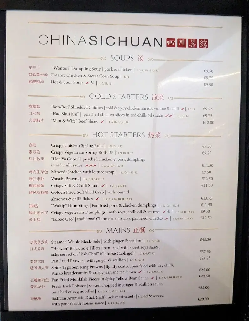 Menu_China Sichuan Restaurant_Sandyford_image_1
