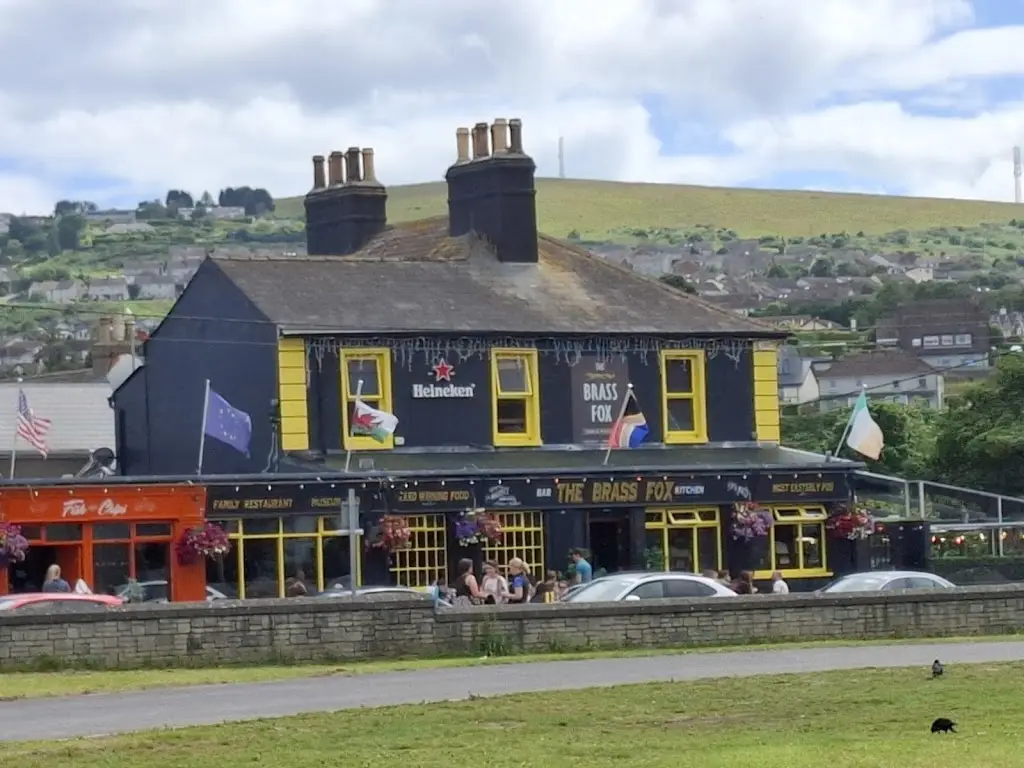 Vincent Wells_The Brass Fox Wicklow_Wicklow_review