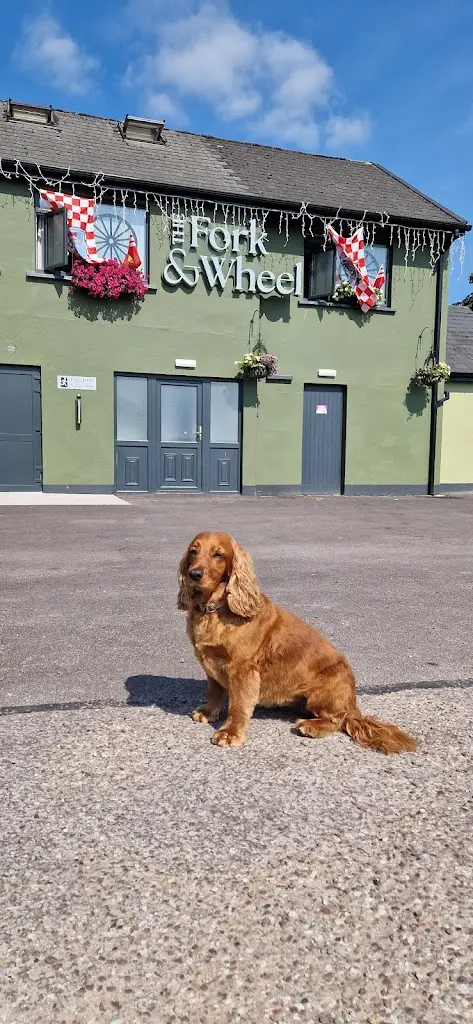 Lisa Aherne_The Fork & Wheel_Aghada_review