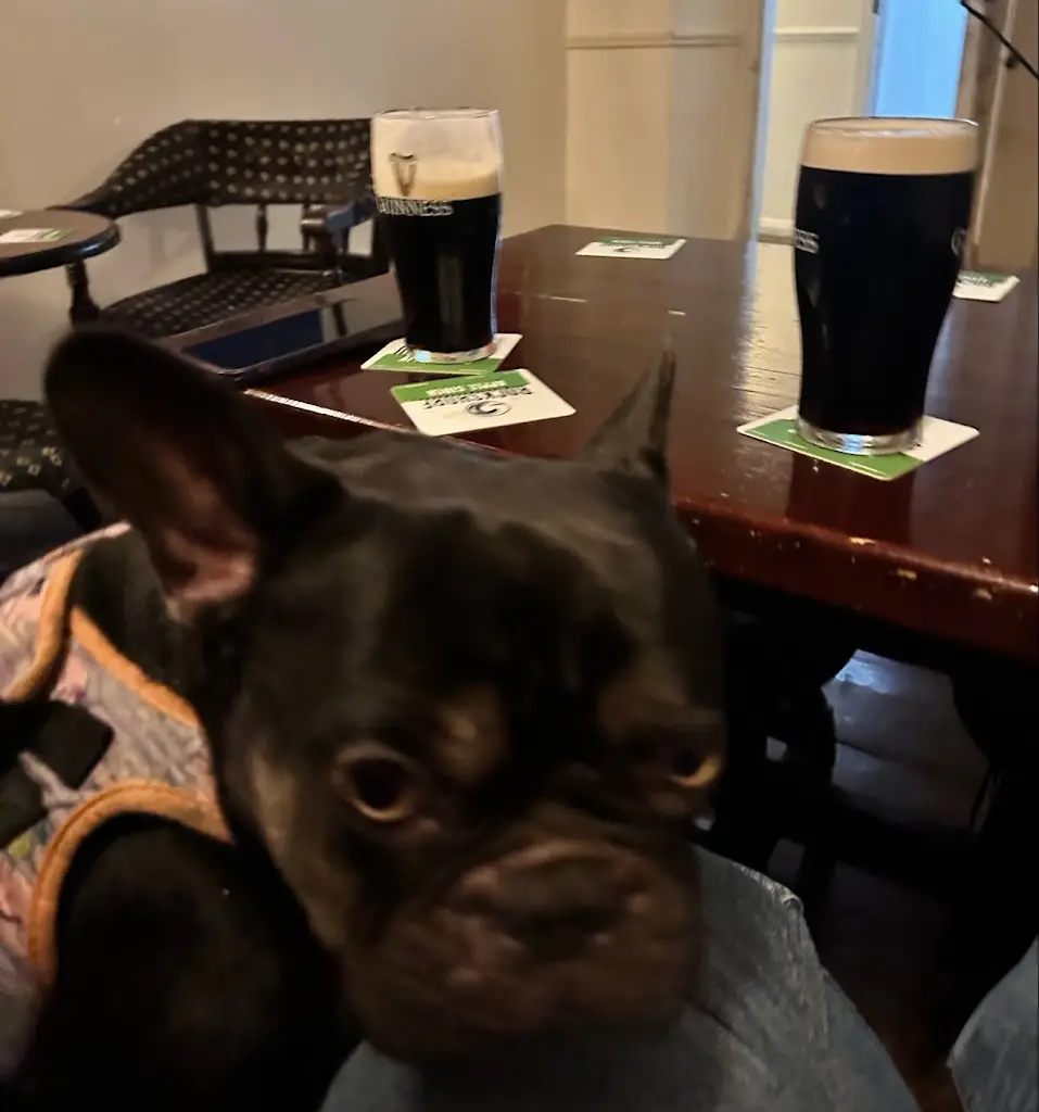 Virginia Cubillos Alvarez_The Gladstone Inn_Skerries_avis