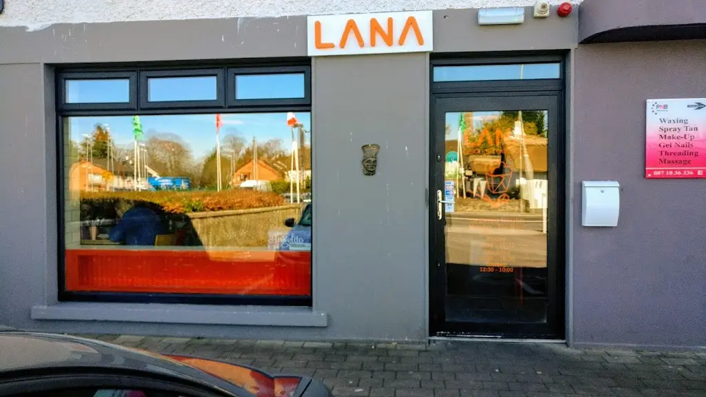 Lana Asian Street Food_Annacotty_slider_image_1