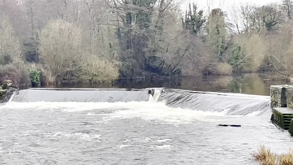 The Millhouse Bar & Grill_Annacotty_slider_image_2