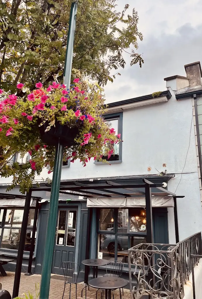 Umesh Sharma_Protea Cafe_Castleconnell_review