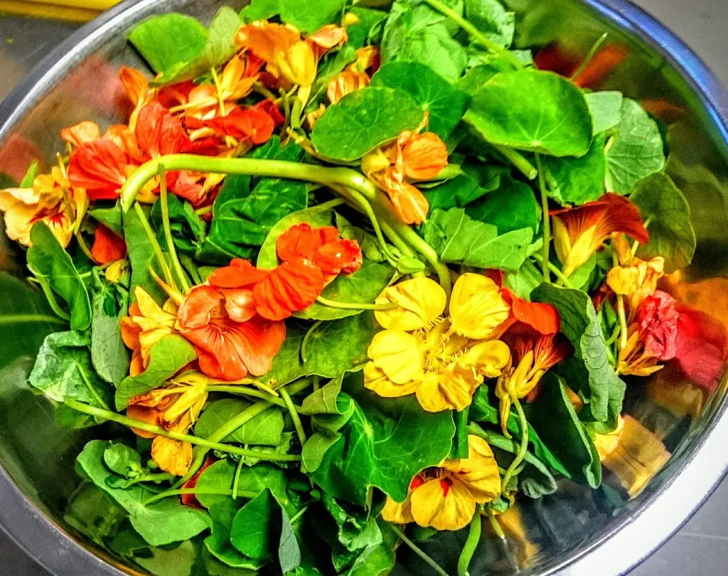 Menu_The Stuffed Olive_Bantry_image_4