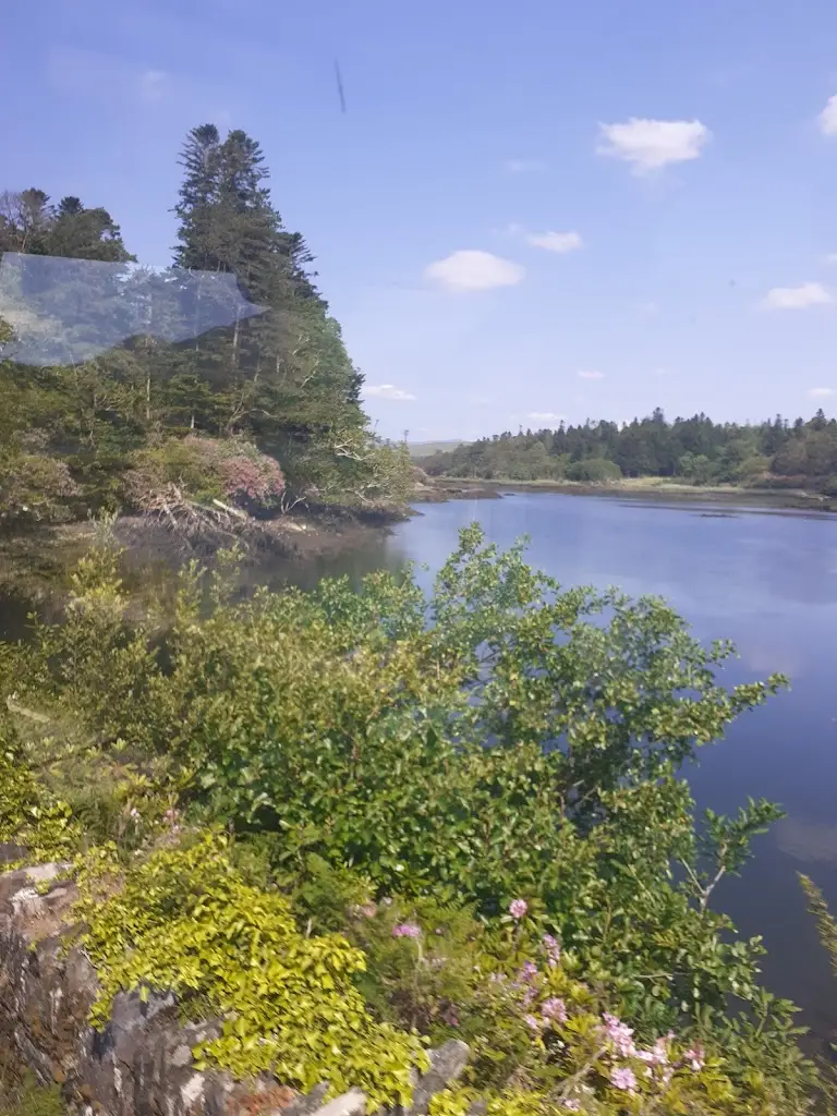 oliver mc donald_The Boston Bar_Bantry_review