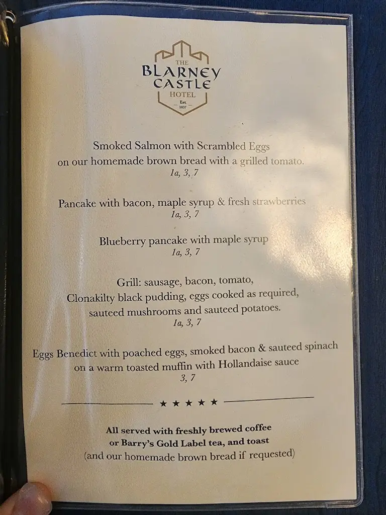 Menu_Blarney Castle Hotel_Blarney_imagen_3