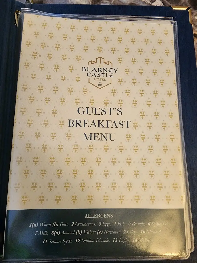 Staar O'Shmellow_Blarney Castle Hotel_Blarney_reseña