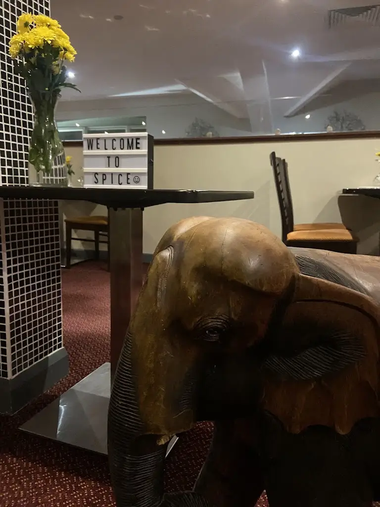 Ella_Spice Indian Cuisine_Carrigaline_review