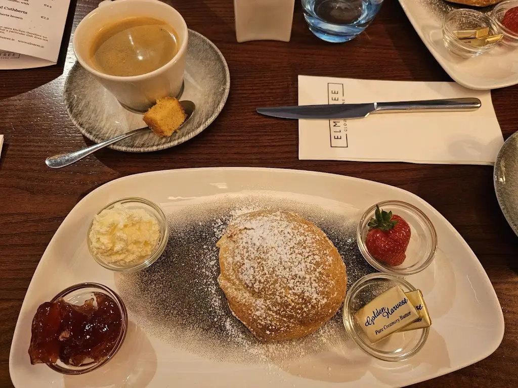 Sandra Aguilar_The Elm Tree Glounthaune_Carrigtwohill_review