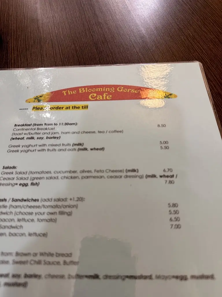 Ana C_The Blooming Gorse Café_Clifden_review