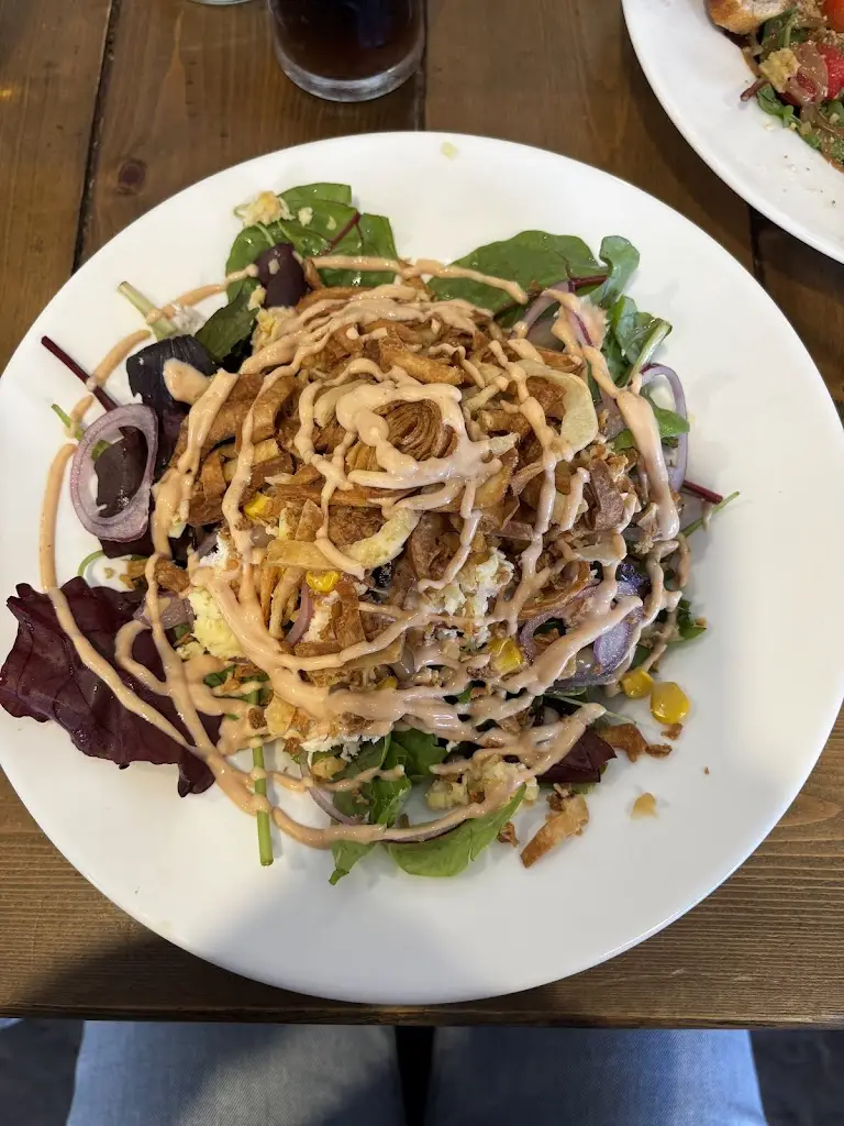 Sydney Frasier_Bowes & Co._Cashel_review