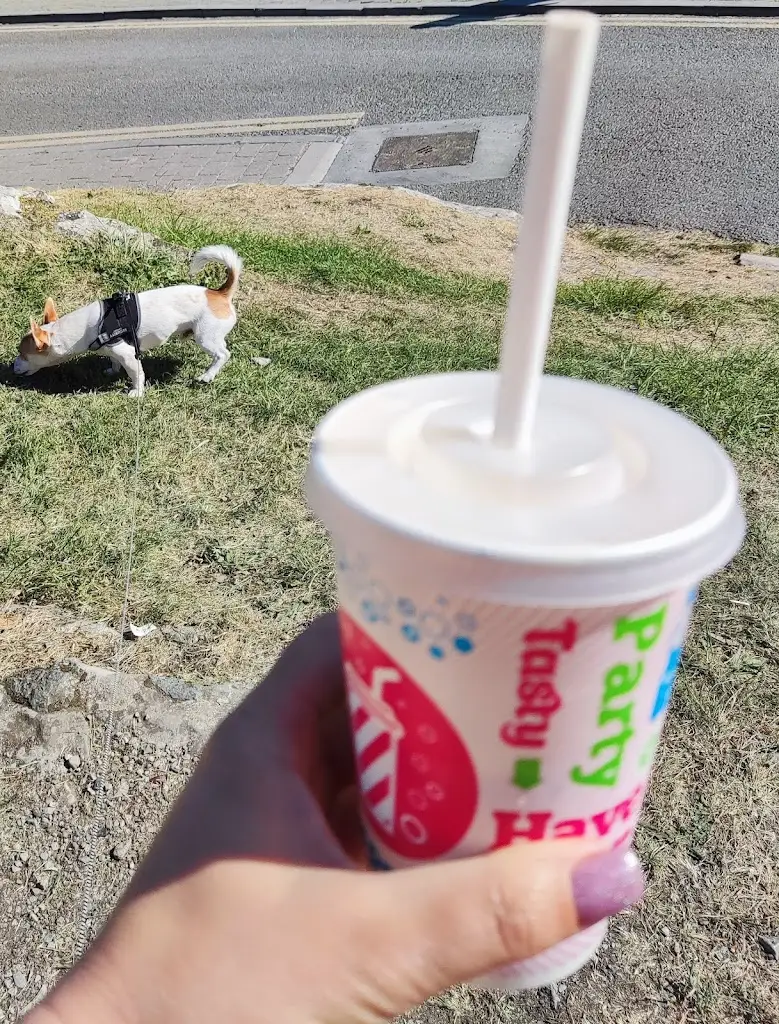 Света_Morelli Take Away Cashel_Cashel_review