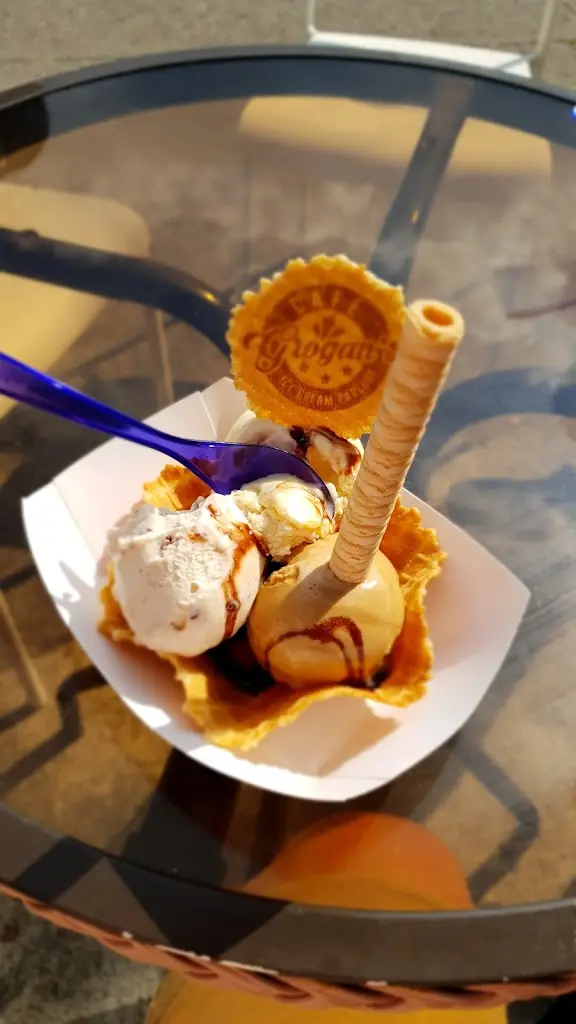 Menu_Grogan's Café and Ice Cream Parlour_Cashel_imagen_5