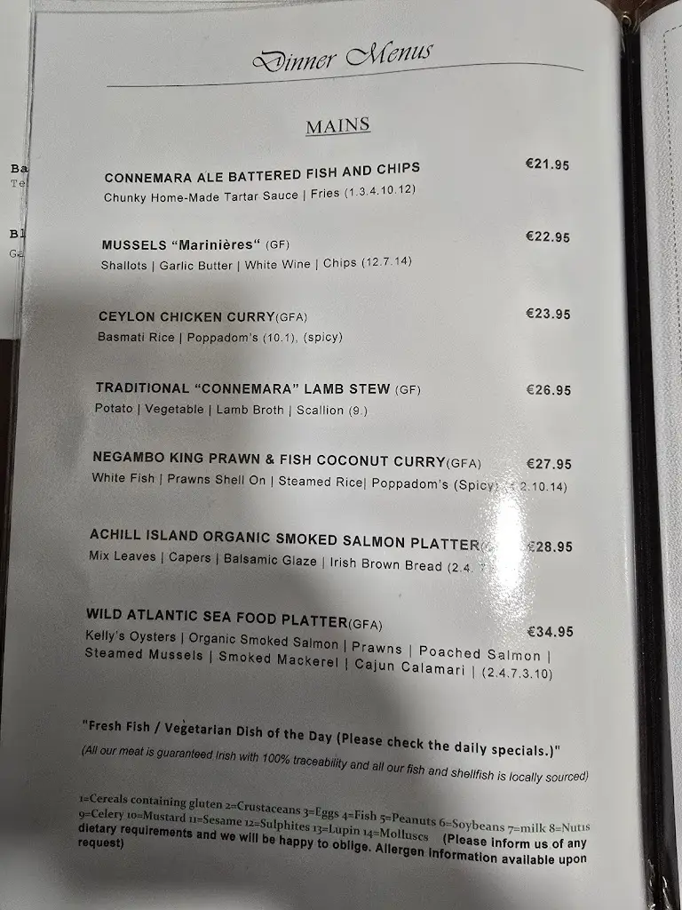 Menu_Ravi's Bar and Restaurant_Clifden_image_2