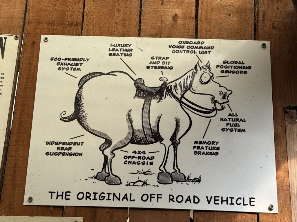 Amreeta Kaur_Sean Tierneys Bar and Restaurant_Cluain Meala_recensione