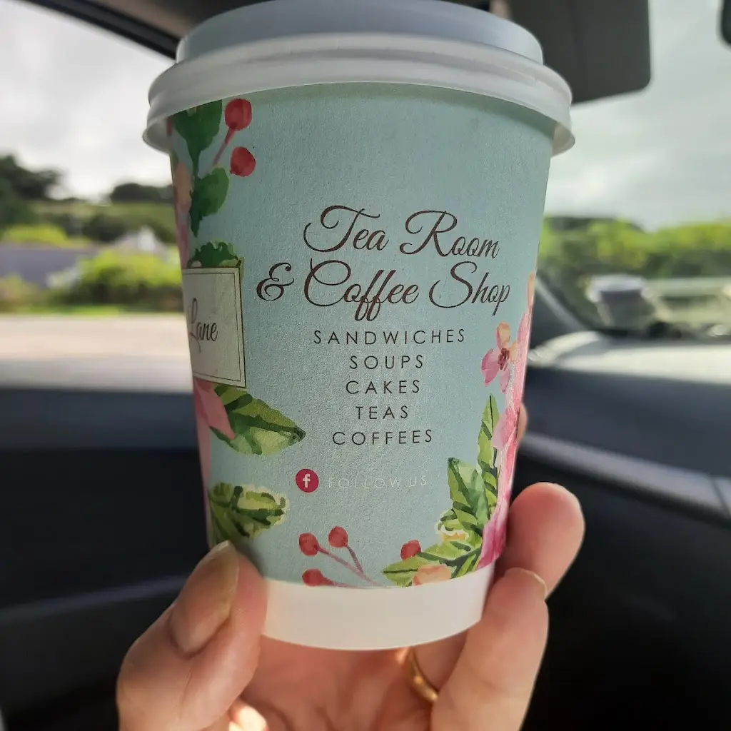 Menu_Cafe On The Lane_Clonakilty_imagen_3