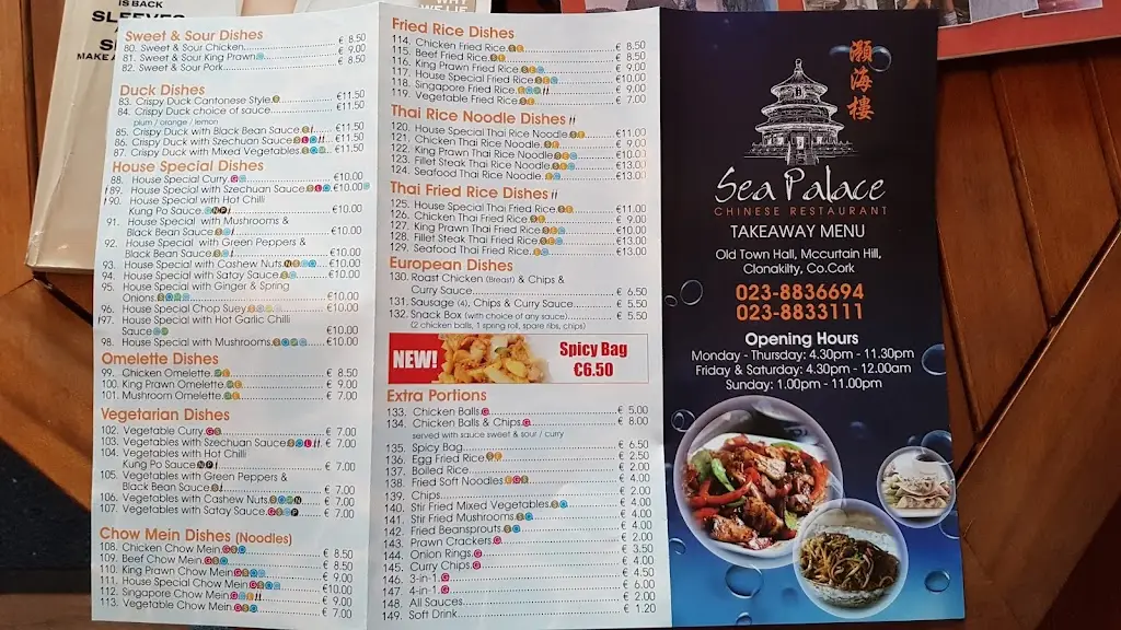 Menu_Sea Palace Chinese Restaurant_Clonakilty_image_2