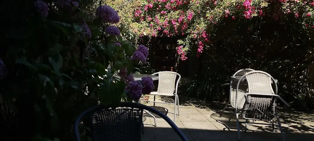 Carl Muller_Mirabelles_Dunmanway_review