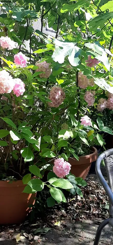 Mirabelles_Dunmanway_slider_image_2